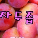 장영락농장 네이버블로그