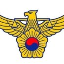 교통사고 현장 수습하던 경찰관, 6.5t 화물차에 치여 발목 절단 이미지