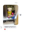 서울체육사 | 개강한 나. (positive)