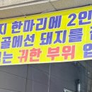 신부산갈매기