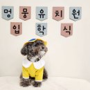 멍뭉유치원 이미지