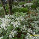 설국농장 이미지