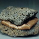 자연+인간+우연 이미지