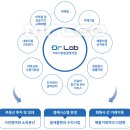 씨이오플랜