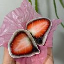 도청대로(동) | 홍성 딸기모찌 설향 내포점