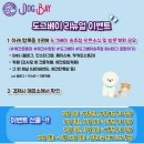 도그베이 이미지