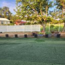 펫플러스라이프 이미지