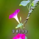 좋은오늘