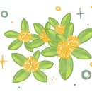 신선차