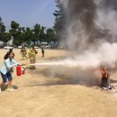 소양초등학교 이미지