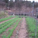 영하농장 이미지