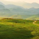 6월의 목장 이미지