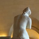 비너스 - 56830 | 비너스