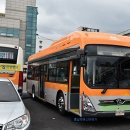 블루시티 이미지