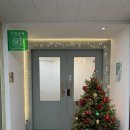 그라운독 | [영등포] 그라운독 그루밍에서 비숑 미용한 후기! 영등포 애견미용실 추천!