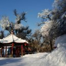 (주)럭스투어