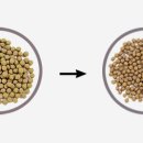 스테이조제 이미지