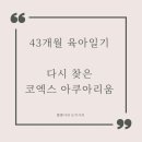 주차43 이미지