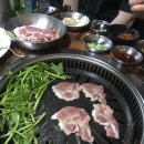 생대패 삼겹살 돼지세끼