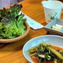 [ 홍천군 서면 ] 금수강산 막국수 : 수육 감자전