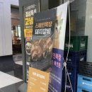 스페인목장Premium프리미엄 | 송도 애견동반 삼겹살집 스페인목장 프리미엄 내돈내산 솔직후기
