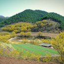 화곡2리경로당 이미지