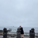 창박로 41번길 49 | 제주도 한달살이 4주차 기록 (2박 3일 코스 추천)