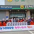 홍북농협 이미지