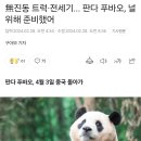 無진동 트럭·전세기... 판다 푸바오, 널 위해 준비했어 이미지