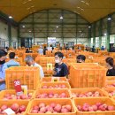 청송사과유통센터 주왕산 APC 이미지