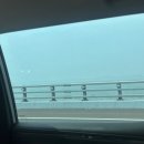 실크로드 | 리얼 야생 찐 칭다오 실크로드 로맨스 파크 후기(2026.07.26)