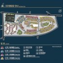 대저캠핑장 | 부산캠핑장 대저캠핑장 추천 명당자리 솔직후기 벚꽃 유채꽃 핑크뮬리 대저생태공원