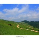 빛으로 그린 세상 이미지