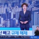 강남3구·용산구 제외…최후 보루 서울 부동산 규제 싹 풀면 어떤 효과 있을까 이미지