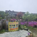 아가메 정원 이미지