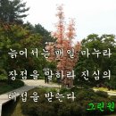 일상의 하루 이미지