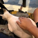 가온누리 게스트하우스 이미지