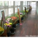 묘산초등학교 이미지