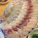 매일매일도매횟집