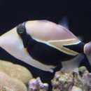 (주)바쿠아 이미지