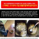 ﻿﻿희망원 대책위, 이중장부 공개하며 교구에 해명 요구- “천주교 대구대교구는 책임 있는 해명을 하라” 이미지