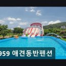 5959애견동반펜션 네이버블로그