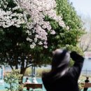 양산호수공원 이미지