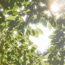 (주)코숨 이미지