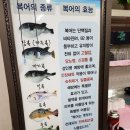 해진정 이미지