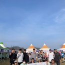 더컨디셔닝 광장점 | 제 23회 태화강국제마라톤 10K 완주 여자부 3위