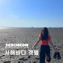 송림쉼터 | 서해안 서천갯벌체험 장항송림산림욕장 군산 근처 바다