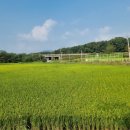 당산1리마을회관 이미지