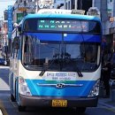 일광2리 이미지