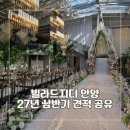 종합경기장(버스정류장) | [공지] 빌라드지디 안양웨딩홀 27년 상반기 계약 견적